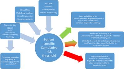 Incorporating the Detection of Single Nucleotide Polymorphisms Associated With Invasive Aspergillosis Into the Clinic